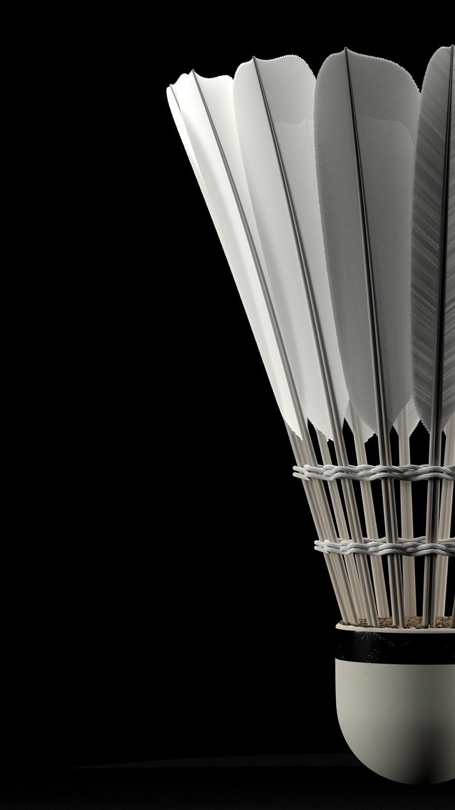 他始终以谦 他始终以谦